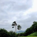 포천힐스 cc2022 BC카드.한경 레이디스 컵 마지막날 골프 갤러리 참가 후기 + 골프 갤러리 준비물과 애티켓
