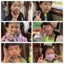 한국체대 태권도 스쿨 이미지