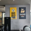 스타비치 이미지