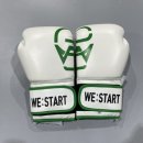 카운터짐 합기도 킥복싱 MMA | [공지] 체육관 로고박힌 복싱 글러브? 단체주문 20개도 OK 커스텀 복싱글러브 추천해요