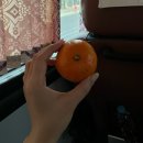 토사랑 | [전주/군산 1박2일] 토사랑게스트하우스 후기, 누룩꽃피는날 중앙점
