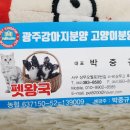 에브리 365마트 이미지