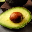 제이짐 휘트니스 이미지