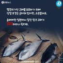 아기 고래
