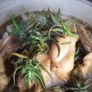 고교농장 이미지