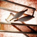 서천베틀장 이미지