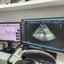 이천동물의료센터 | 경기광주동물병원 이천동물병원 찾는다면, 이천동물의료센터에서 살펴본 강아지 쿠싱증후군