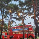 월드해수사우나 이미지