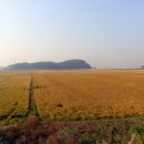 서해농장 이미지