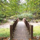 국립희리산해송자연휴양림 이미지