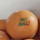 J6061 네이버블로그