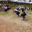 안중파랑새유치원 이미지