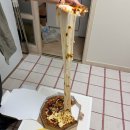 관악-현장-관악-01-048 | 관악구 낙성대 피자 맛집 맛있구마피자 서울의 이재모피자 오픈런 웨이팅 포장 후기