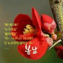 나의봄