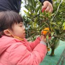 인애농장 이미지