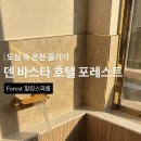 덴 바스타 이미지