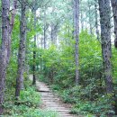 봉천마을회관 이미지