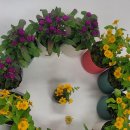 대보중학교 이미지