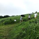 소금밭 교차로 4 이미지