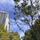 댕카 미용실 이미지