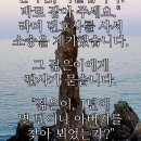 더 도움 무궁인 마 영열 선친 마용석.김임선 거듭 환생하시어 대구 범물동 용지산에서 전북 임실 회문산에 안장되어 광명세상을 열다●야생 이미지