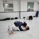 본주짓수충주
