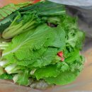 토마토인터넷 이미지