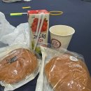 성남중학교 | 2025년 21대 대통령선거 개표사무원 후기