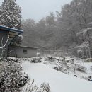 수진 | 운명전쟁49 권수진 만신 예약 방법 무당 수진보살 위치 (내돈내산 점사 후기 포함)