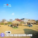 들꽃목장 | 전북 여행 고창 대형 카페 들꽃카페 수목원