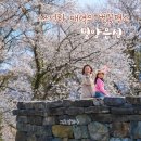 삼랑진권 투어 | 경남 밀양 벚꽃 명소 여행 밀양읍성 주변 카페 열두달 체험코스까지