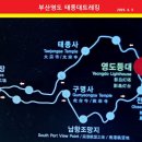 부산영도태종대 Daum카페