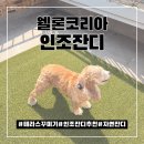 웰론코리아 인조잔디로 조경 테라스 인테리어 셀프로 하기