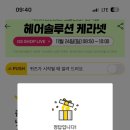 헤어솔루션 이미지