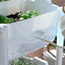 텃밭가꾸기 이미지