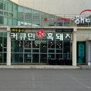 커큐민 흑돼지