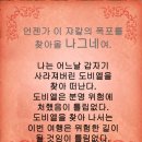 아르피아 이미지