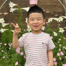 백합유치원 이미지