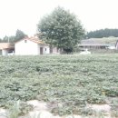 현희 농장 이미지