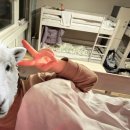 영인이네민박 | [여행기록] 33. 겨울 동유럽 여행 8일차 <독일 뮌헨> 🇩🇪