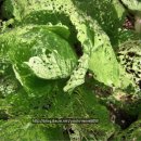 소을농장 이미지