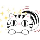 편하개 놀다가냥 이미지