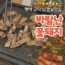 꽃돼지삼겹살 | 평택 고덕 삼겹살 맛집 바람난꽃돼지 방문후기