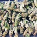 박종철농장 이미지