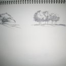 연필스케치(초급) 이미지