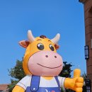 신세계숯불구이 이미지