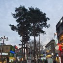 행복로 문화의거리 이미지