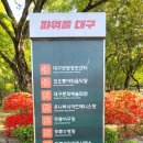 한내근린공원(공원관리소) | 대구 두류공원 자전거대여 | 봄날 주말 아이랑 두류스포츠광장에서 신나게 달렸어요!