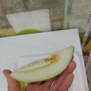 청송상회 이미지