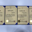 한국체대 호랑이 이미지